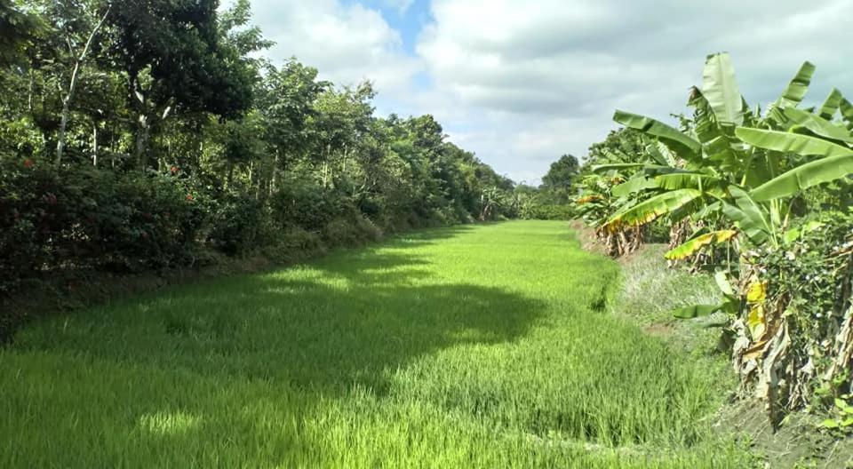 Happy Homestay Buon Ma Thuot Eksteriør billede